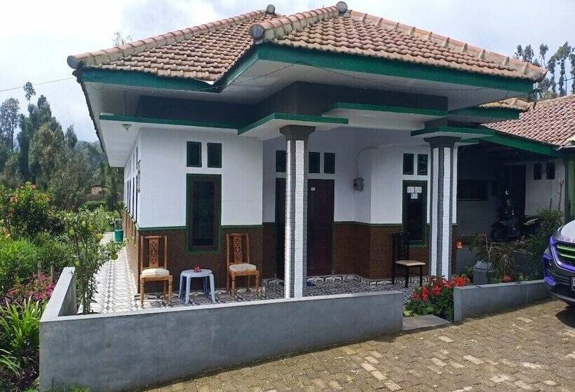بنسيون Elen Homestay By Abm