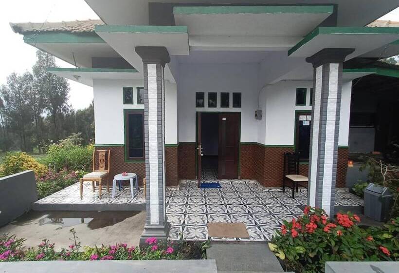 بنسيون Elen Homestay By Abm