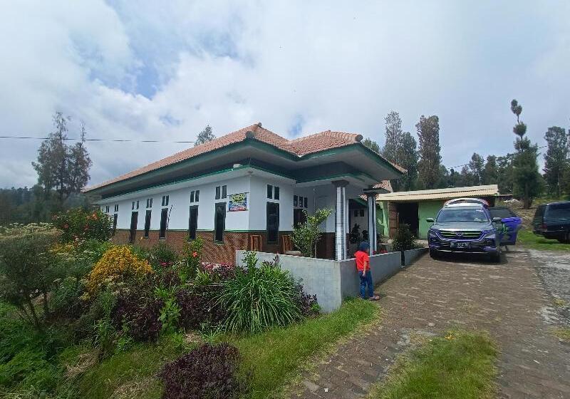 بنسيون Elen Homestay By Abm