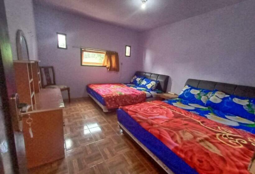 بنسيون Elen Homestay By Abm