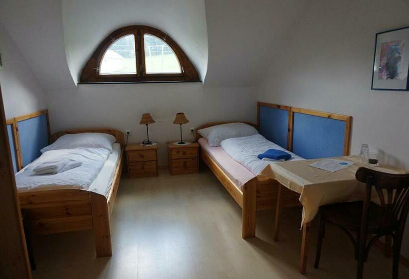 ユースホステル Viehberghütte