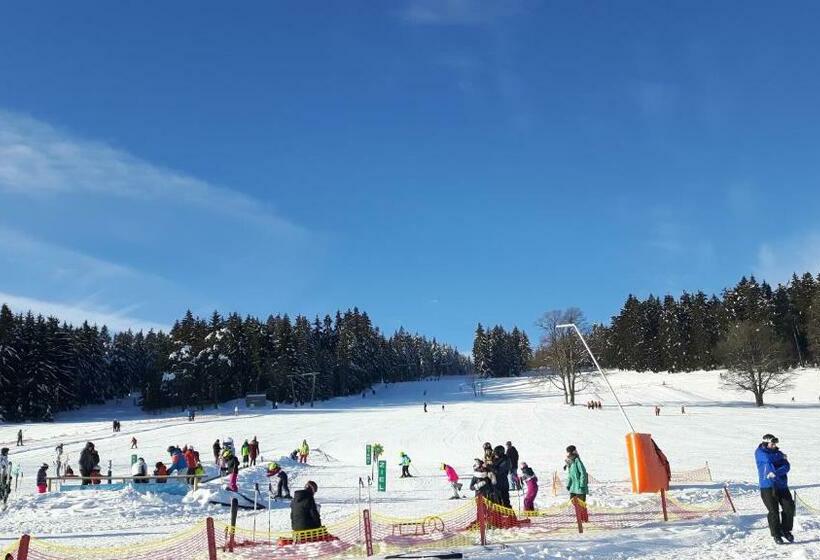 ユースホステル Viehberghütte