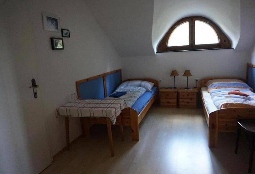 ユースホステル Viehberghütte