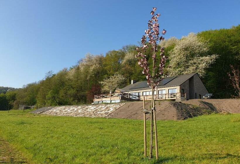 Bed and Breakfast Le Val Des Cerfs Het Hertendal