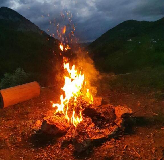 مبيت وإفطار Mosorel