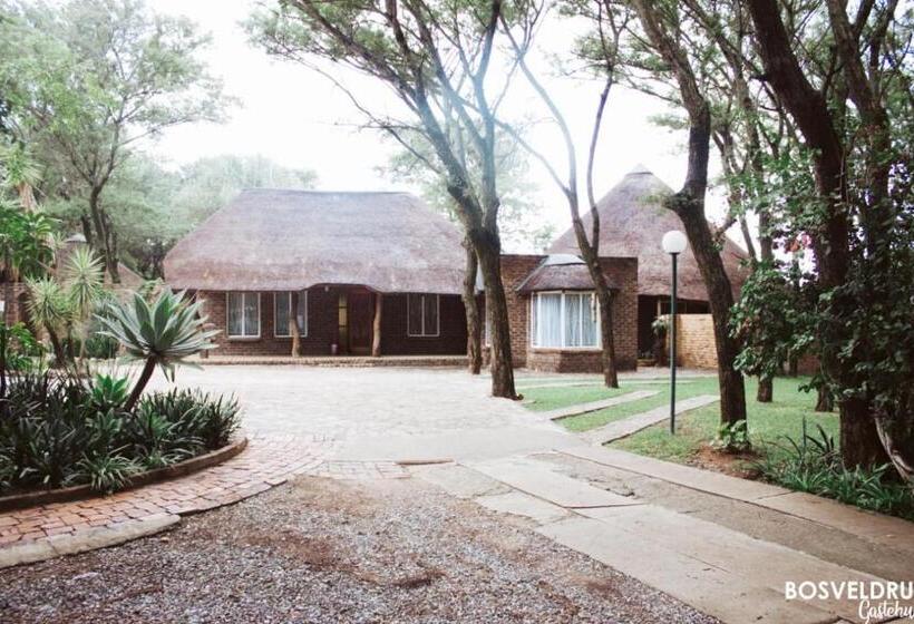 بنسيون Bosveldrus Gastehuis