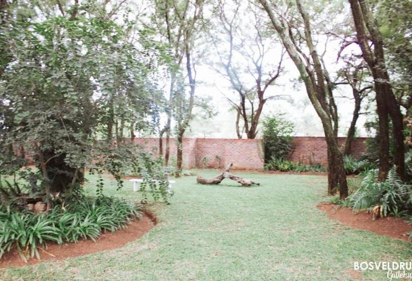 بنسيون Bosveldrus Gastehuis