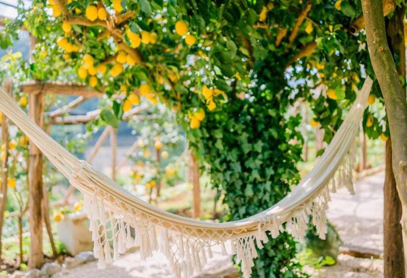 بنسيون Villa Le Murelle