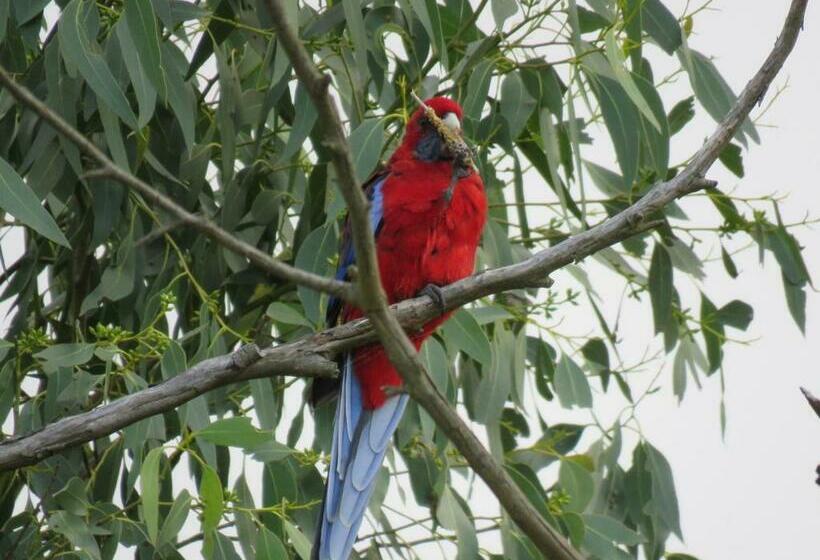 צימר Arnold House