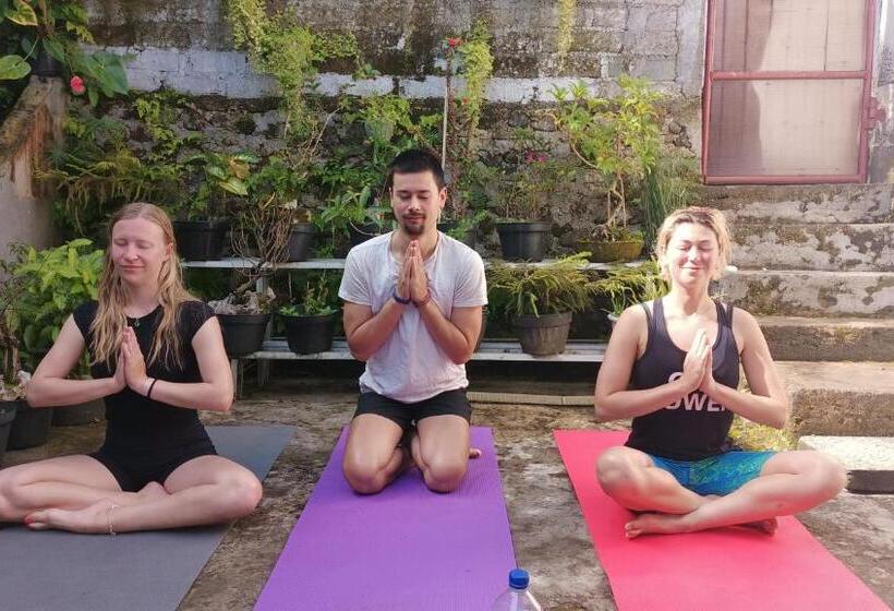 تختخواب و صبحانه Chacha Homestay & Dormitory