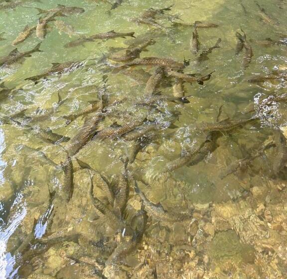 پانسیون Kung Nok Tha Resort Nakhon Si Thammarat