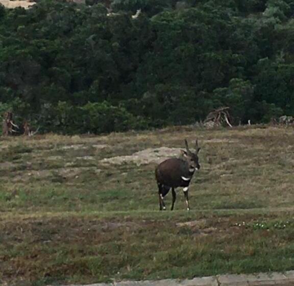 펜션 Seesterkloof