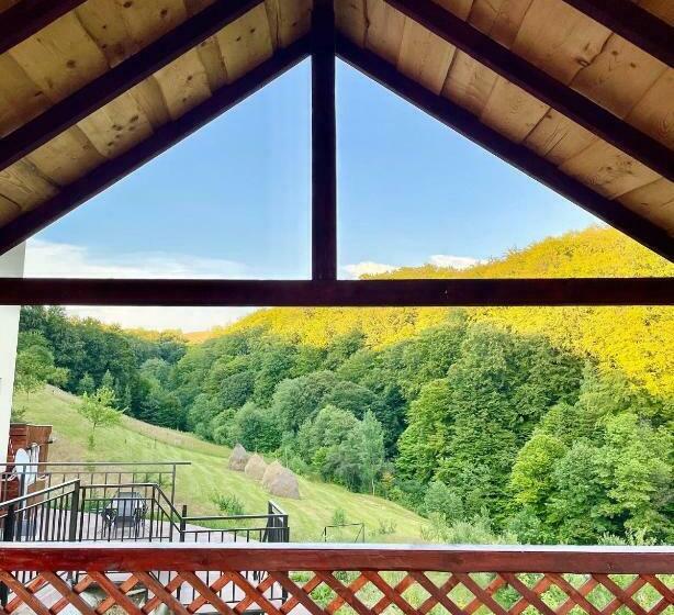 Pensiunea 7 Brazi Ii