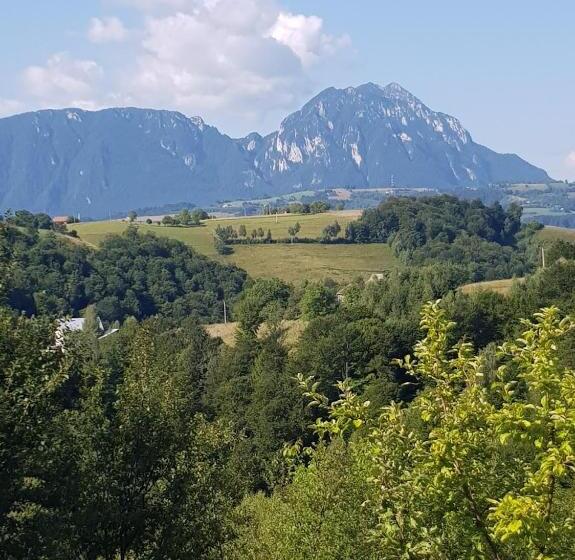 Pensiunea 7 Brazi Ii