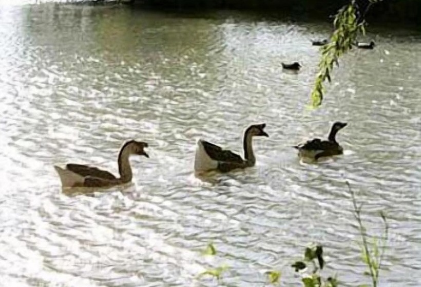 בית מלון כפרי Domaine De Mejeans   Teritoria