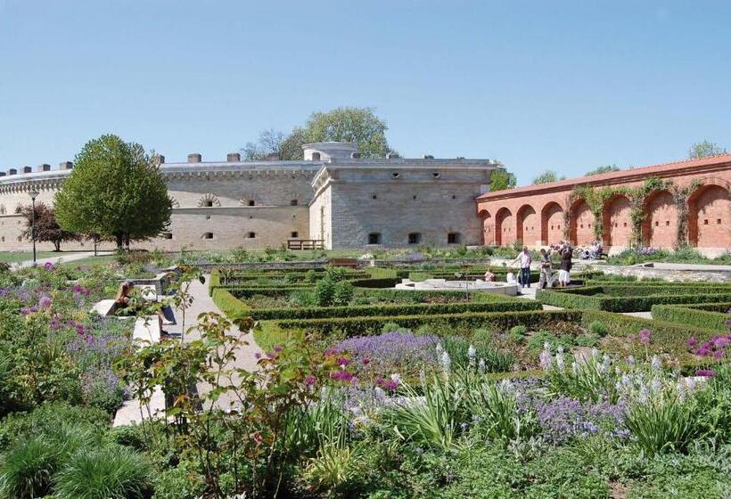 בית מלון כפרי Enso