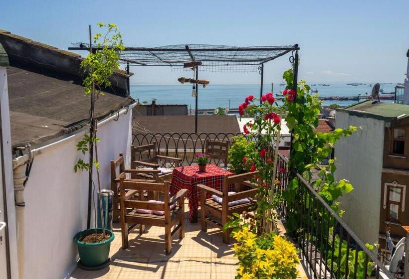 Fotos del hotel Gedik Pasa Konagi:  42