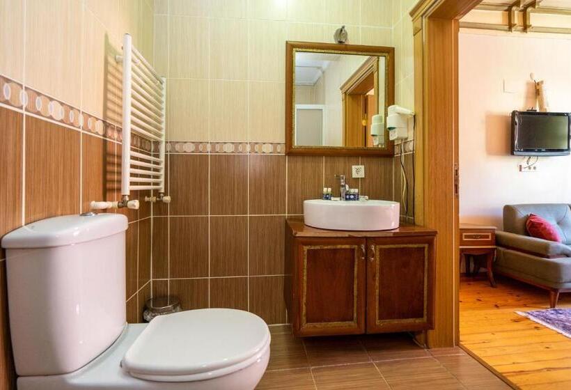 Fotos del hotel Gedik Pasa Konagi:  45