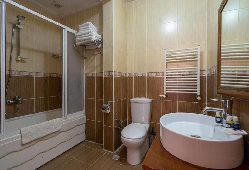 Fotos del hotel Gedik Pasa Konagi:  59