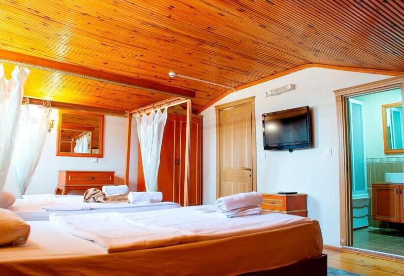 Fotos del hotel Gedik Pasa Konagi:  23