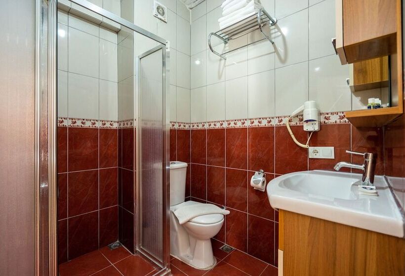 Fotos del hotel Gedik Pasa Konagi:  33