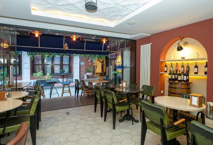 Fotos del hotel Raymond Hotel:  21