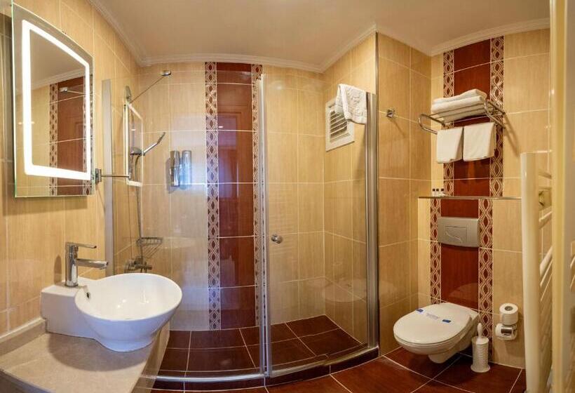 Fotos del hotel Raymond Hotel:  11