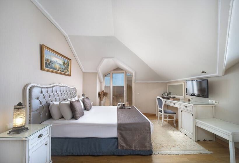 Fotos del hotel Recital:  13