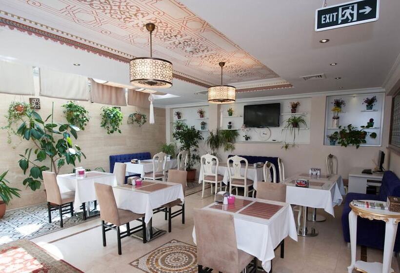 Fotos del hotel Sultans Royal Hotel:  15