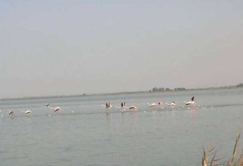 هتل Summertime