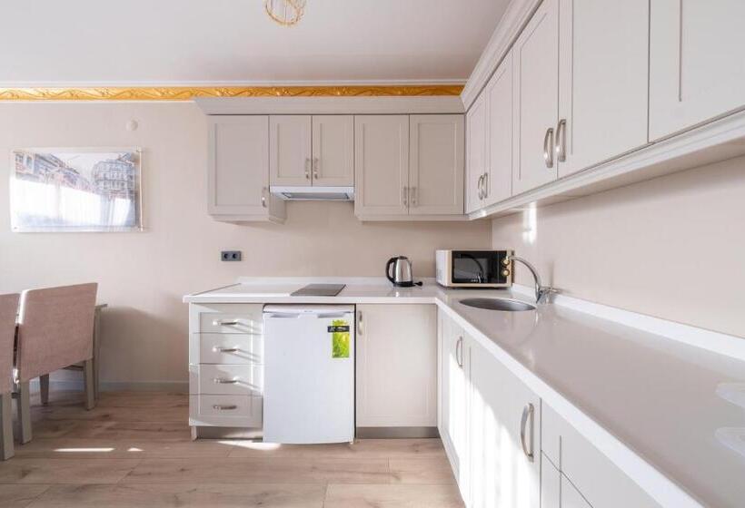 Fotos del hotel Ar Suites Taksim:  25