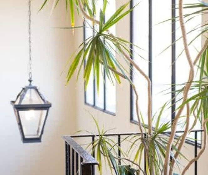 Fotos del hotel Tornabuoni Suites Collection Residenza D Epoca:  44