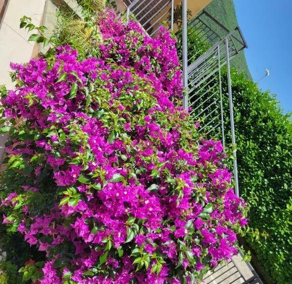 B&b Rossella