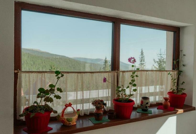 Пансион Casa Bunicutei