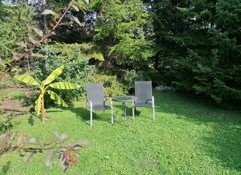 بنسيون Park Vendégház