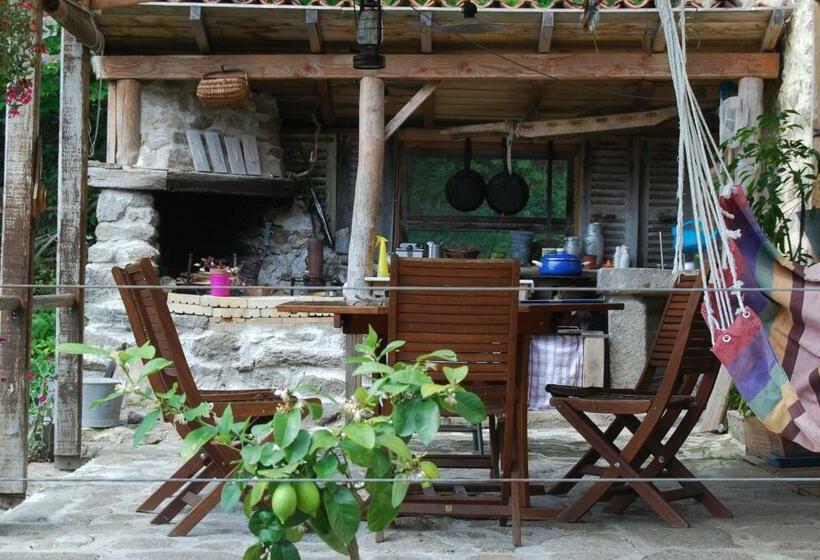 Bed and Breakfast La Freiressa