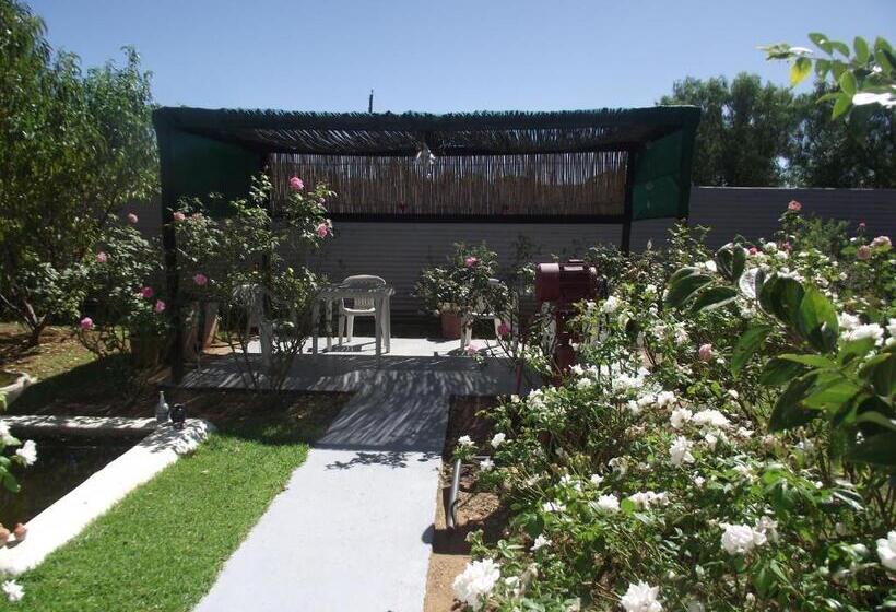 Bed and Breakfast Lavender Rose