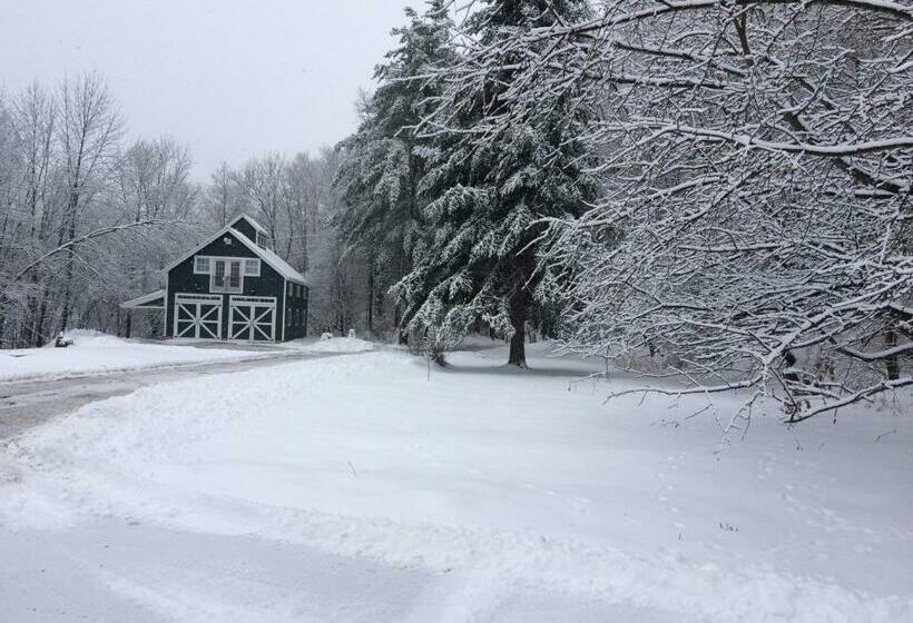 مبيت وإفطار The Birch Grove