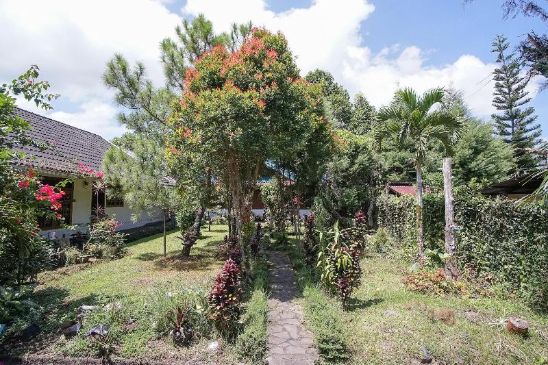 بنسيون Mountain View Homestay