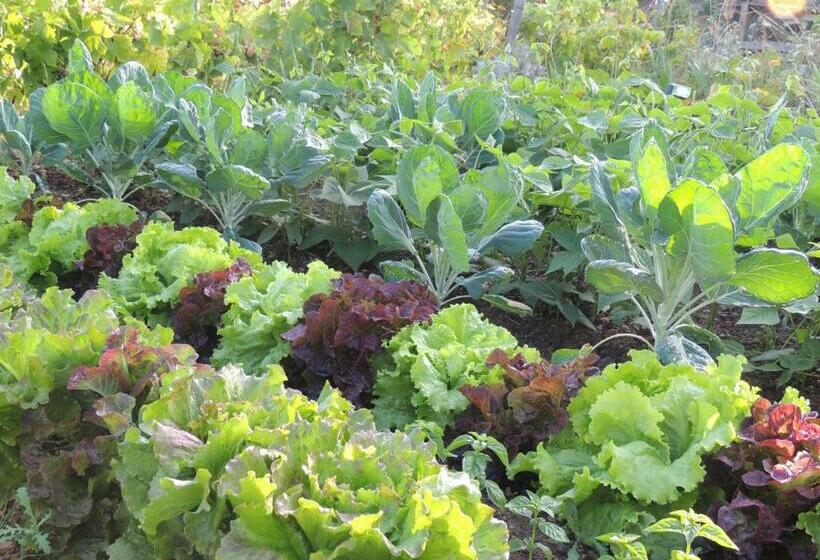 פנסיון Villa Orangère Chambre Et Table D Hôtes