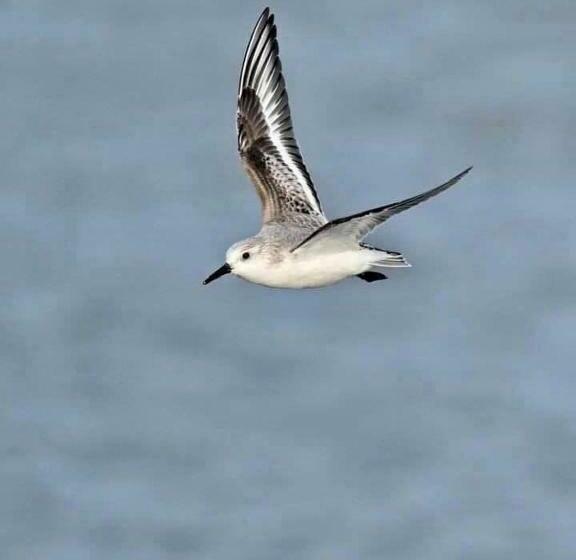 민박 Villa Cathy Chambres D Hôtes