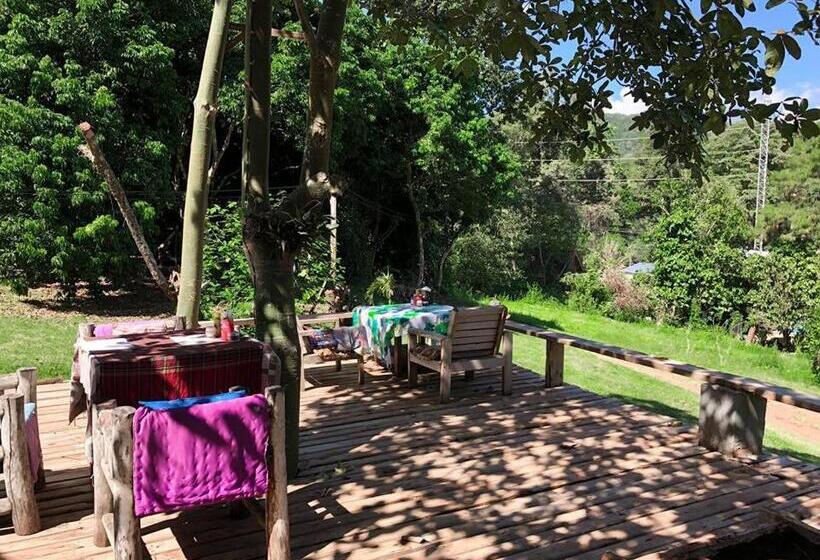 هتل Jungle Guesthouse
