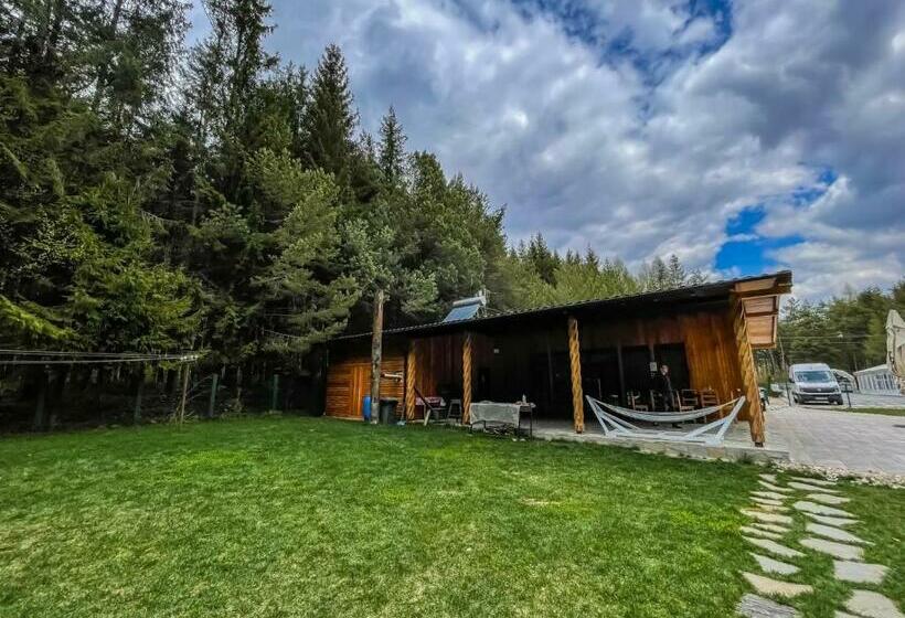 Пансион Boutique Hotel Doftana Nature Events