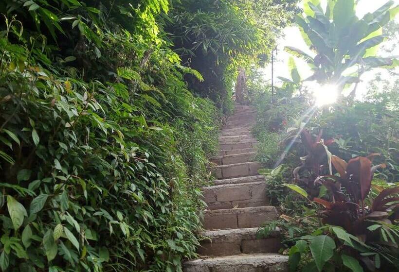 민박 Eco Bedugul Adventurer Camp