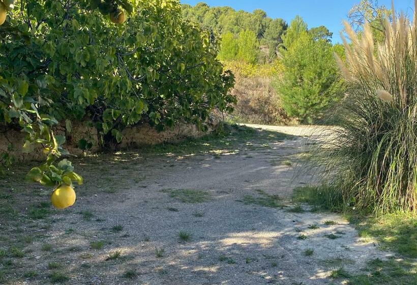Bed and Breakfast Les Manaux En Provence