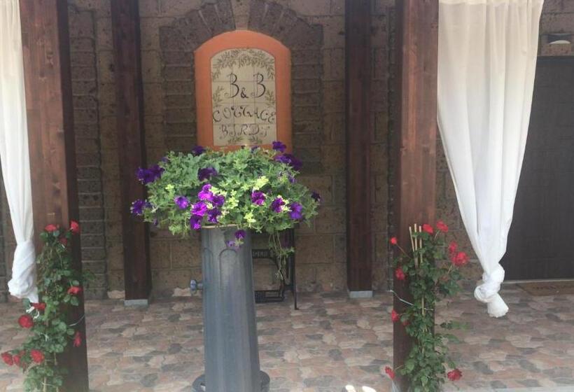Отель Agriturismo A Casa Di Susanna