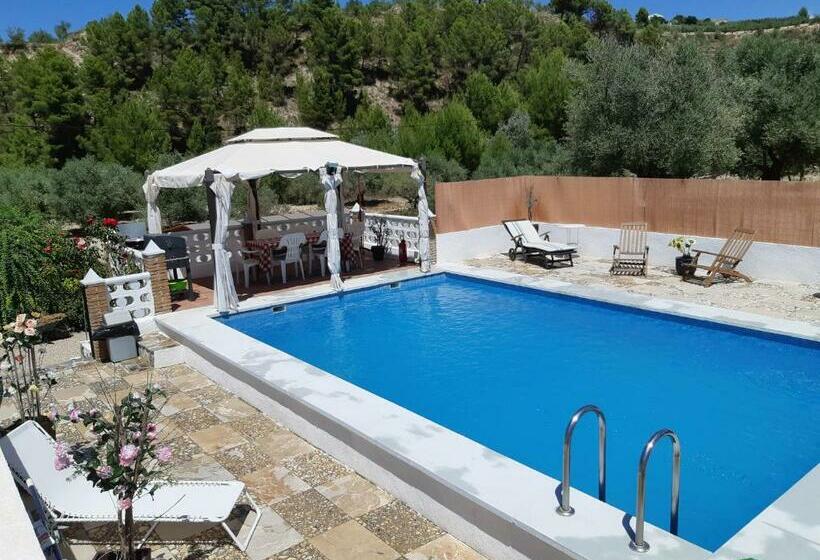 پانسیون Nice Room With Swimming Pool