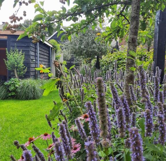 تختخواب و صبحانه Inn The Green