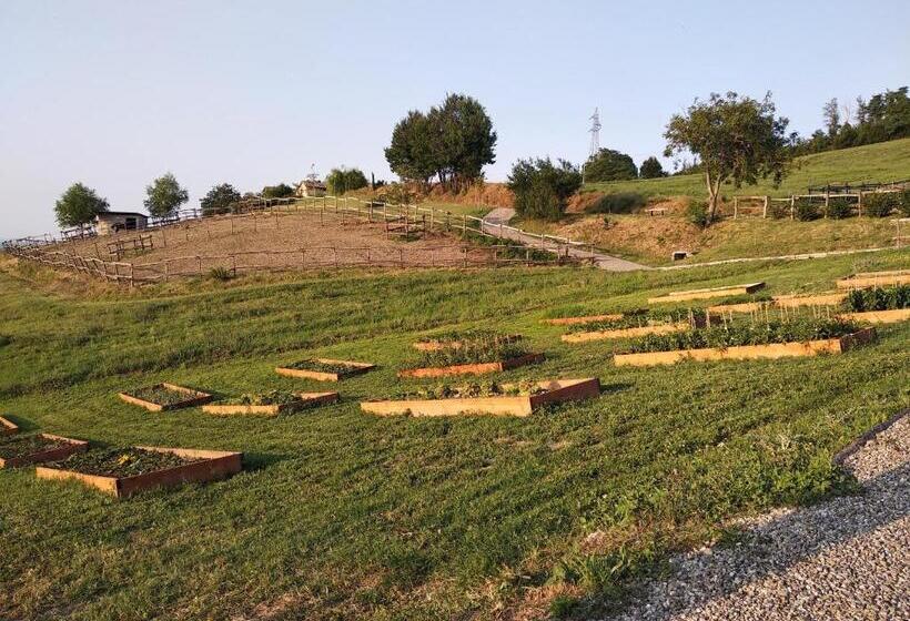 مبيت وإفطار Tenuta I Musi Lunghi