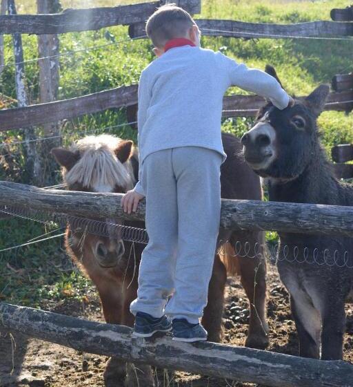 ベッドアンドブレックファースト Tenuta I Musi Lunghi